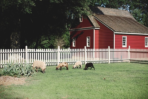 Dinner In The Field in Virginia with specially vintage and custom built rentals by Paisley and Jade