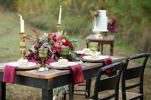 Beautiful cranberry inspired Fall styled shoot in a Virginia Forest with specialty rentals by Paisley and Jade 