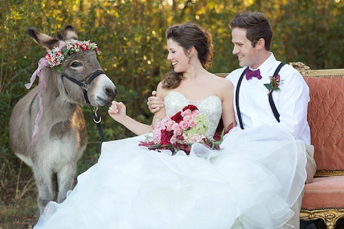 Beautiful cranberry inspired Fall styled shoot in a Virginia Forest with specialty rentals by Paisley and Jade 