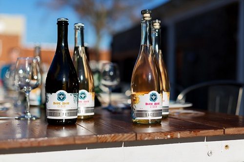 Urban wedding inspiration at Blue Bee Cider in Richmond, Virginia with specialty rentals by Paisley and Jade