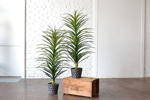 Faux Potted Plants available for rent by Paisley & jade 