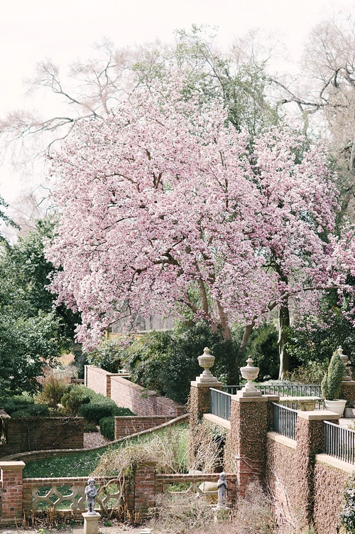 Gorgeous Spring styled shoot a The Virginia House in Richmond planned by Blush Events with images by Sarah Street Photography and specialty and vintage rentals by Paisley & Jade 