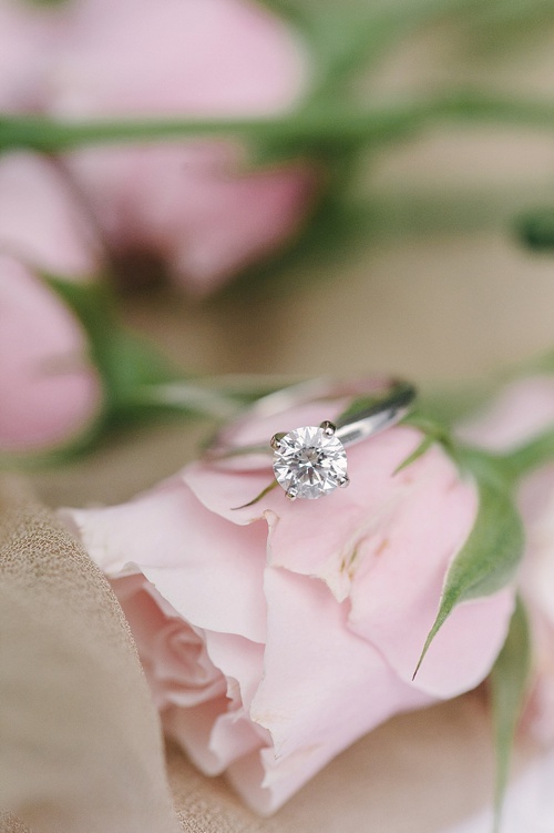 Gorgeous Spring styled shoot a The Virginia House in Richmond planned by Blush Events with images by Sarah Street Photography and specialty and vintage rentals by Paisley & Jade 