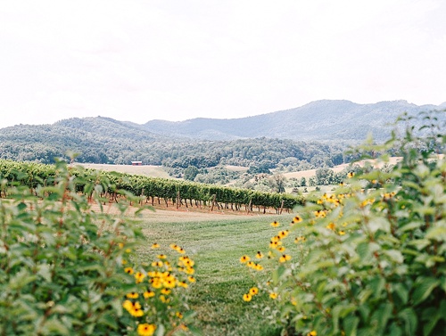 Gorgeous farmer's market inspired wedding at Pippin Hill Farm and Vineyard in Charlottesville, Virginia with specialty and vintage rentals by Paisley and Jade 