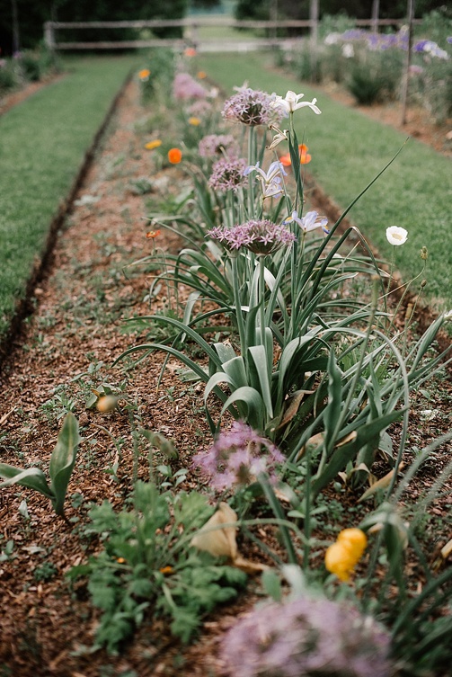 Charming storybook inspired wedding at Tuckahoe Plantation with specialty and vintage rentals by Paisley & Jade 