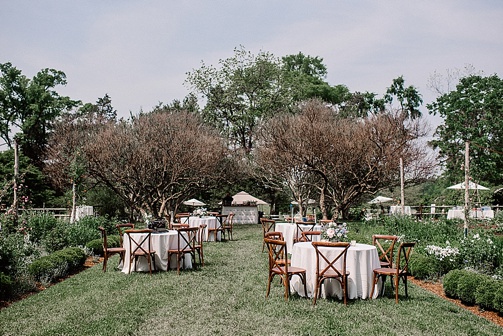 Charming storybook inspired wedding at Tuckahoe Plantation with specialty and vintage rentals by Paisley & Jade 