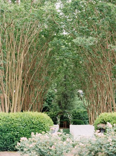 Outdoor Tuckahoe Plantation Wedding