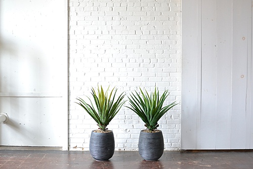 potted faux aloe