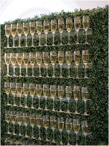 paisley and jade specialty wedding rentals and champagne wall at omni homestead