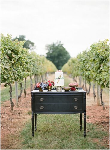 paisley and jade specialty rentals in keswick vineyard venue feature