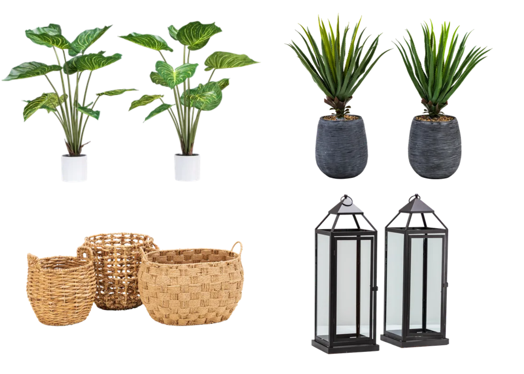 Rental Collection - Decor